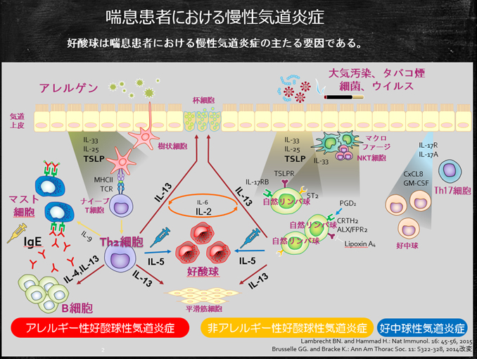 喘息患者における慢性気道炎症